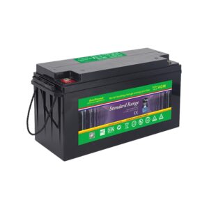 Deep Cycle AGM BATTERY